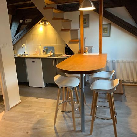 Appartement Duplex 2A Rue D'Alspach Colmar Eksteriør bilde